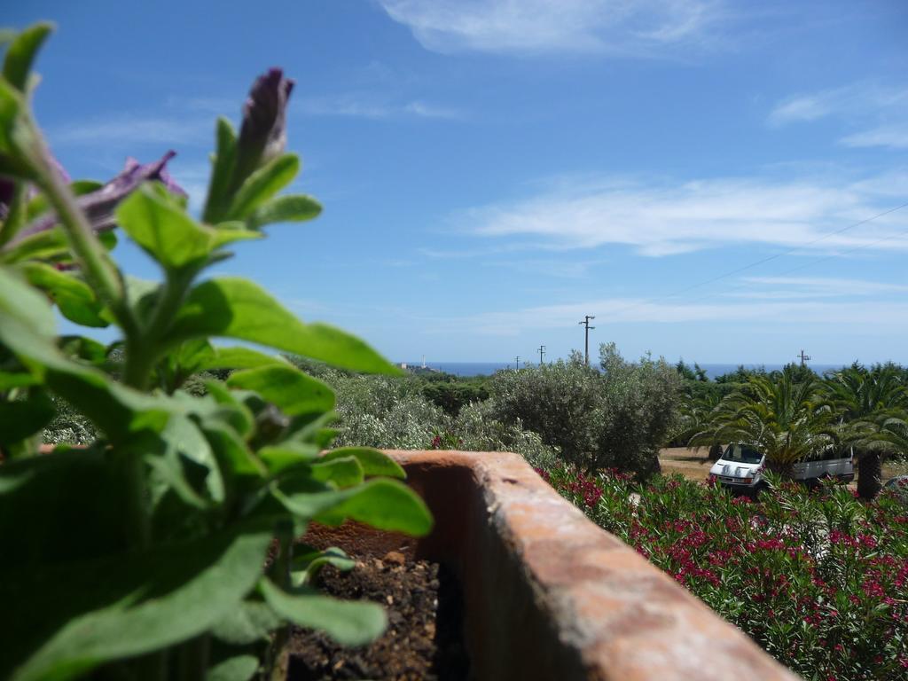Masseria Serine Santa Maria di Leuca Dış mekan fotoğraf
