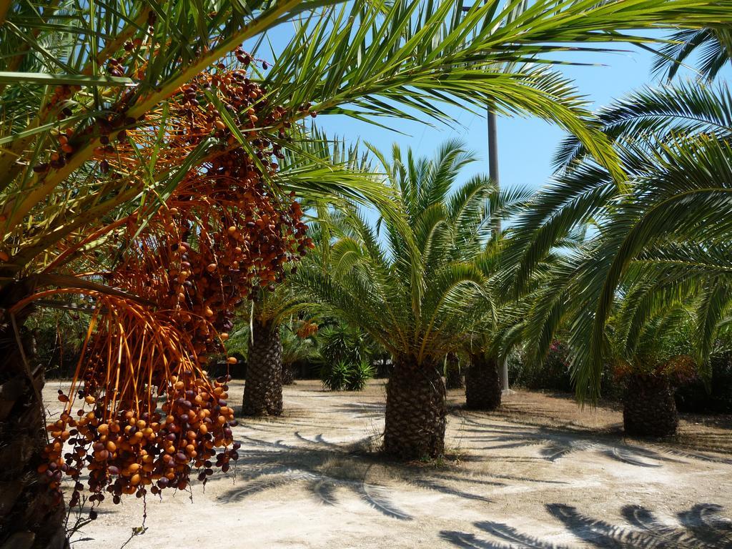 Masseria Serine Santa Maria di Leuca Dış mekan fotoğraf